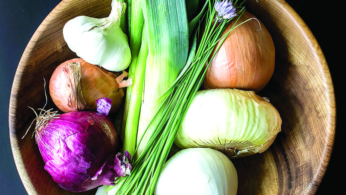 Allium 696x392