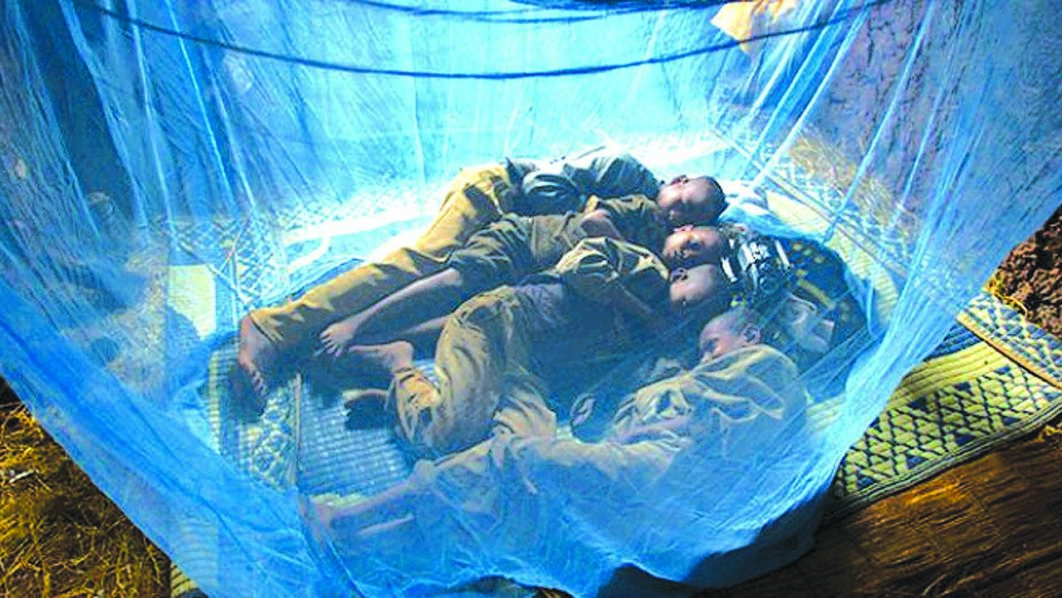 NET 1 1062x598