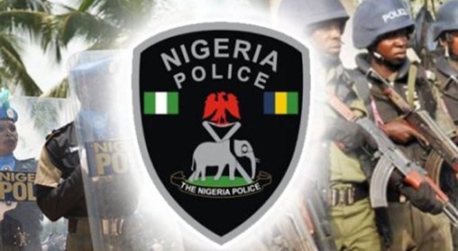 Nigeria Police Force 1