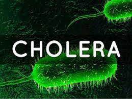 cholera
