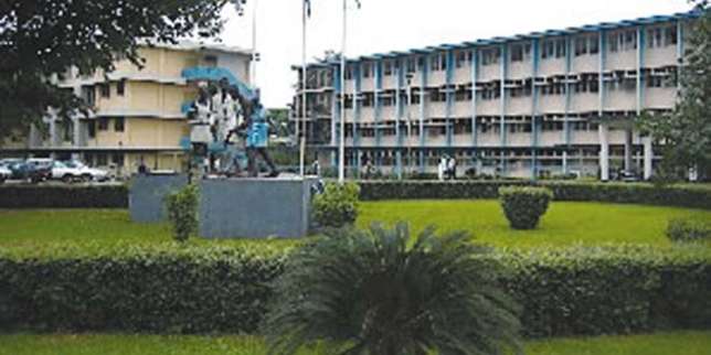 luth