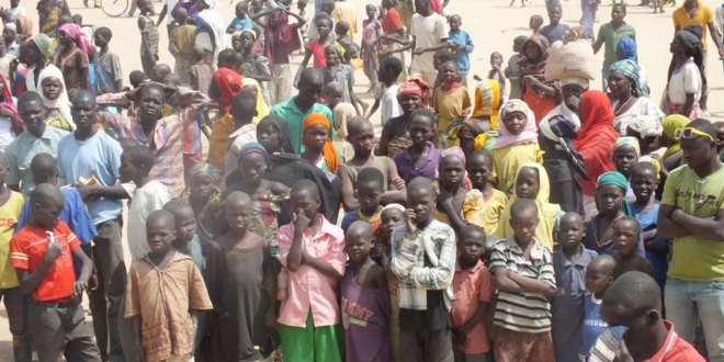 kids IDP camps