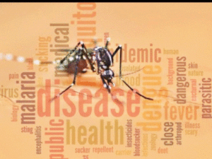 malaria 300x225