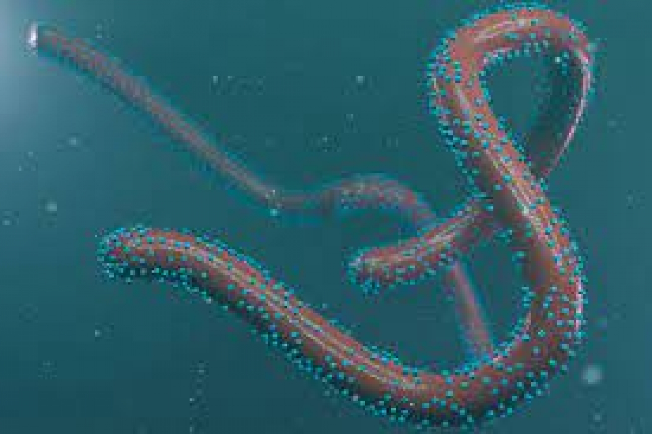 First case of Marburg virus confirmed in West Africa